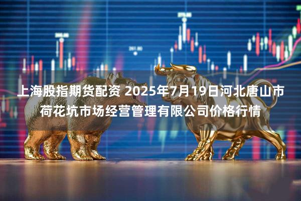 上海股指期货配资 2025年7月19日河北唐山市荷花坑市场经营管理有限公司价格行情