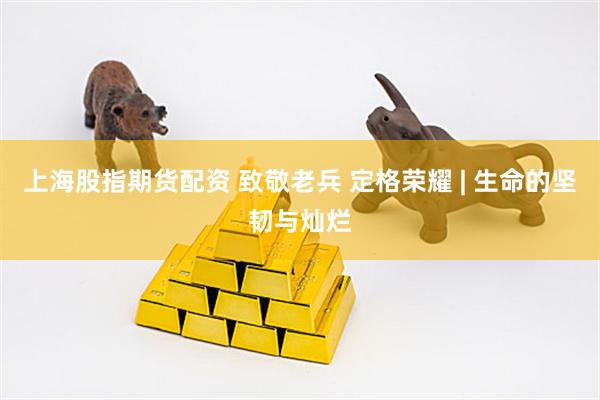 上海股指期货配资 致敬老兵 定格荣耀 | 生命的坚韧与灿烂